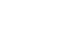 The Vue